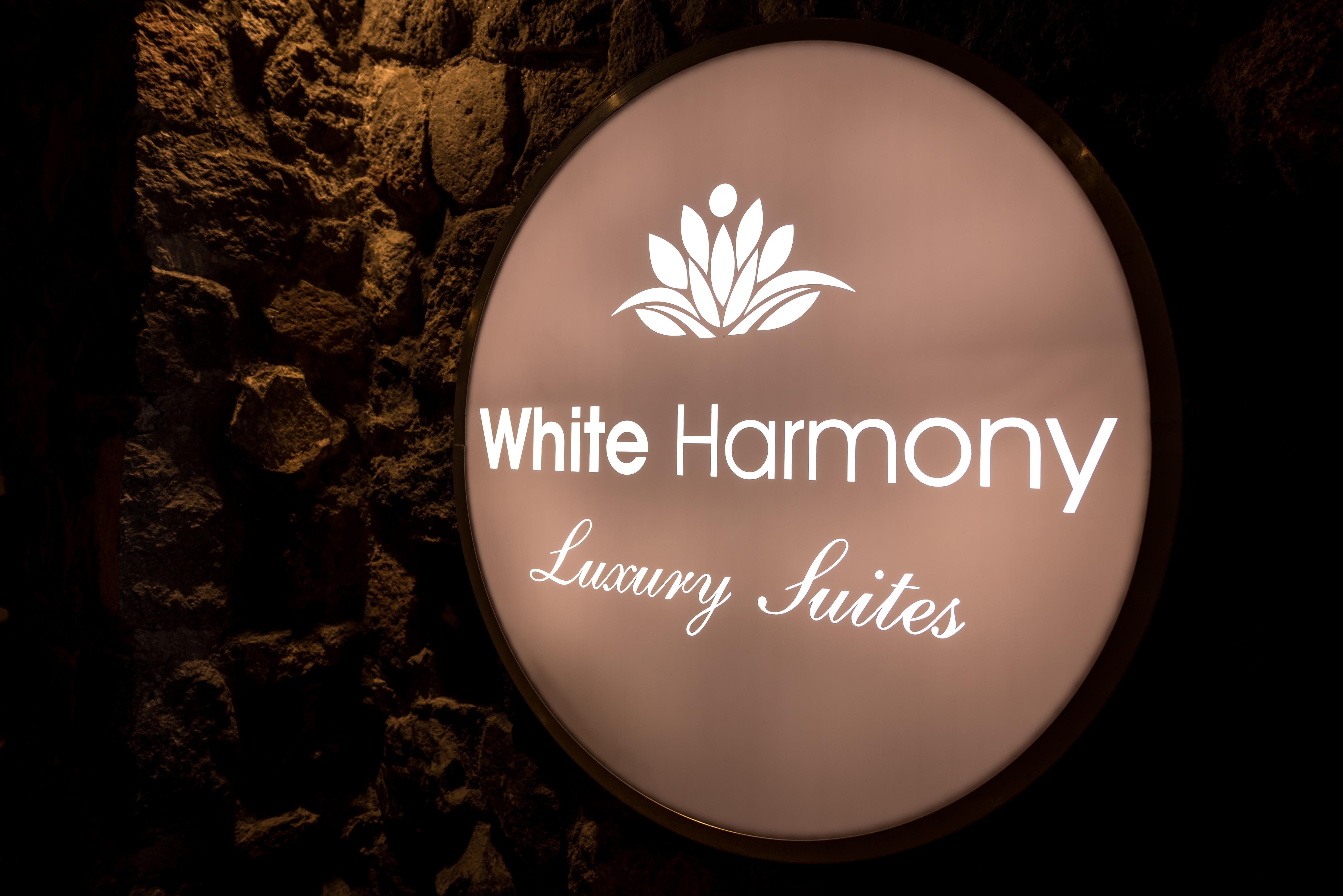 White Harmony Suites Megalochori  Exteriér fotografie