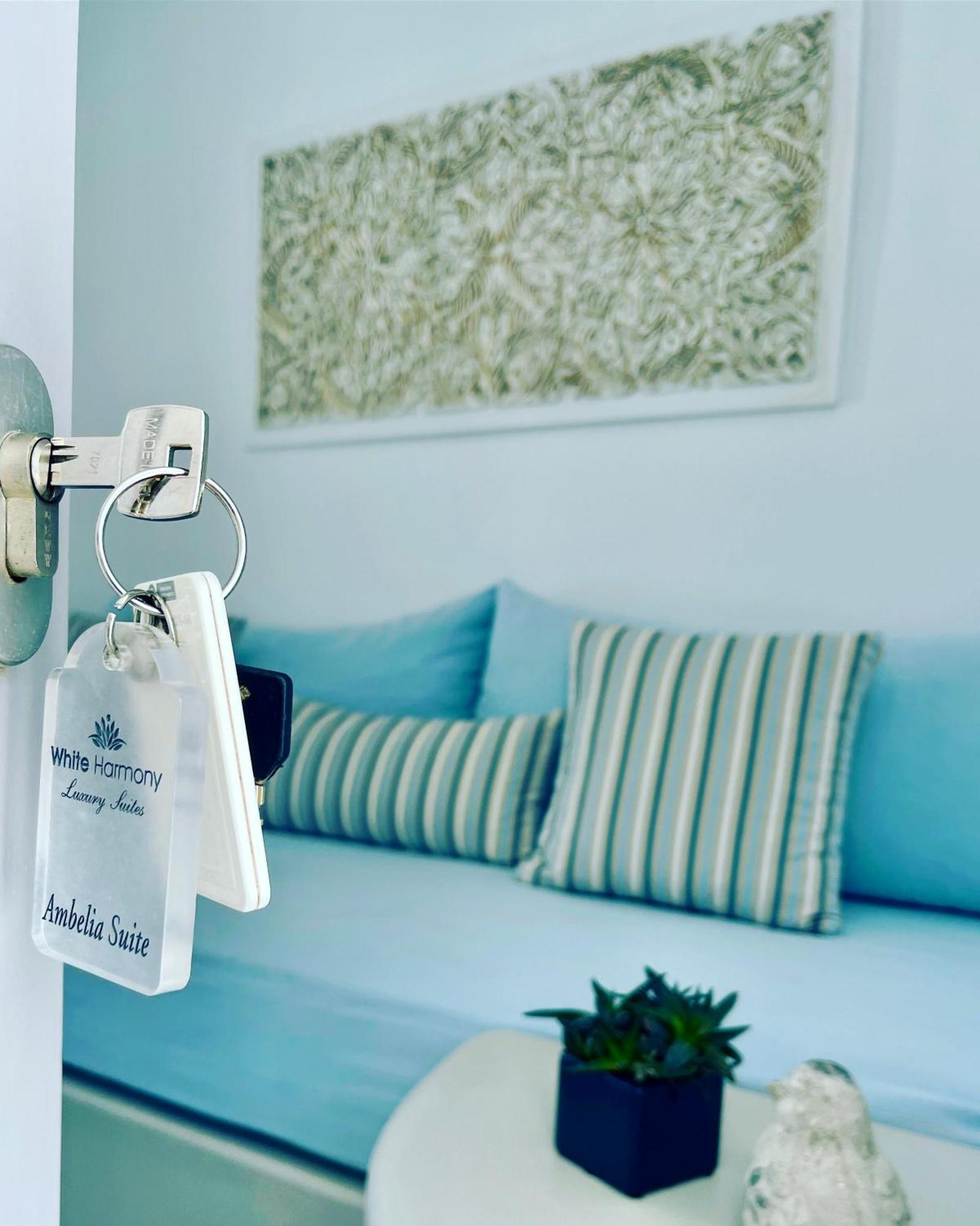 White Harmony Suites Megalochori  Exteriér fotografie